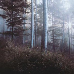 Wallet Silicone Case – 3 Card Slots