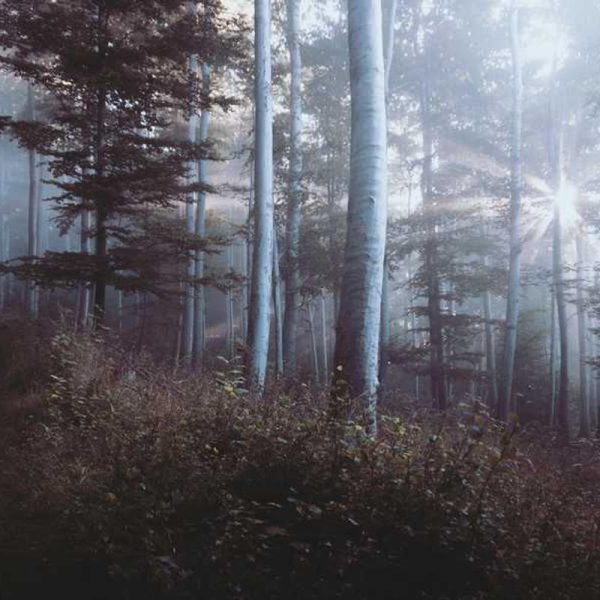 Wallet Silicone Case – 3 Card Slots