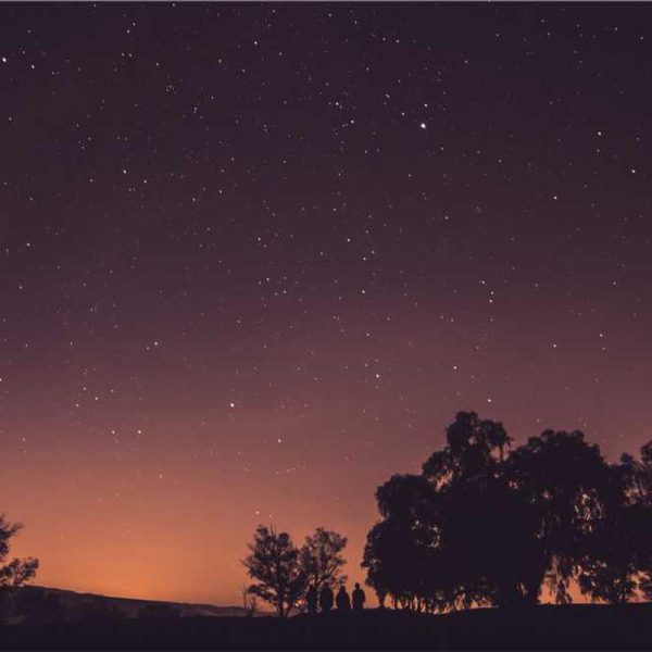 Ultra-Thin MagSafe Case – Minimalist