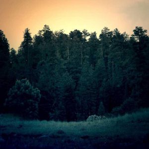 Wallet MagSafe Case – 3 Card Slots