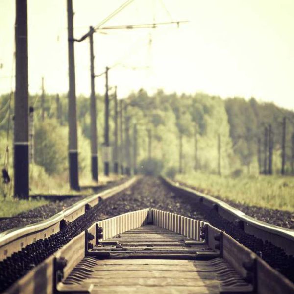 Leather Clear Case Case – Classic Style