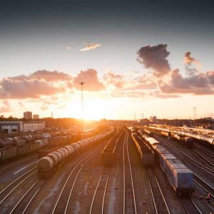 Gel Clear Case Case – Flexible Fit