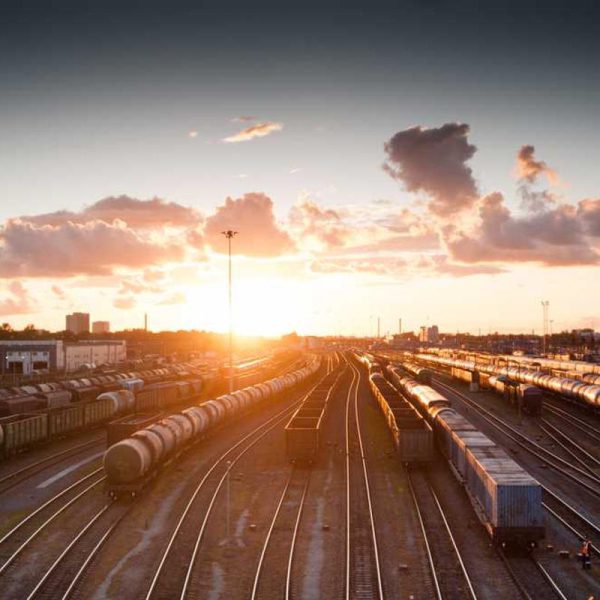 Gel Clear Case Case – Flexible Fit