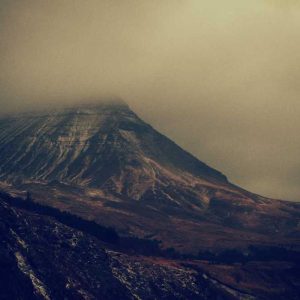 Hard Shell Clear Case Case – Maximum Protection