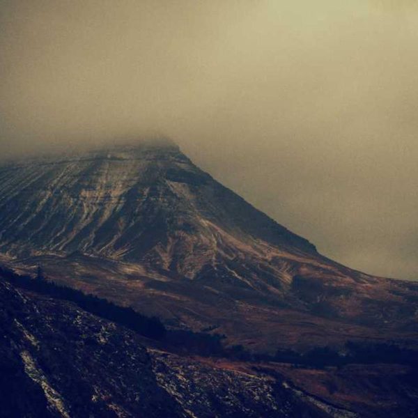 Hard Shell Clear Case Case – Maximum Protection