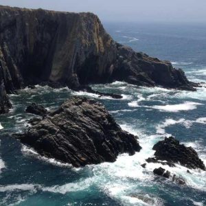 Clear iPhone 15 Pro Max Case – Transparent Design