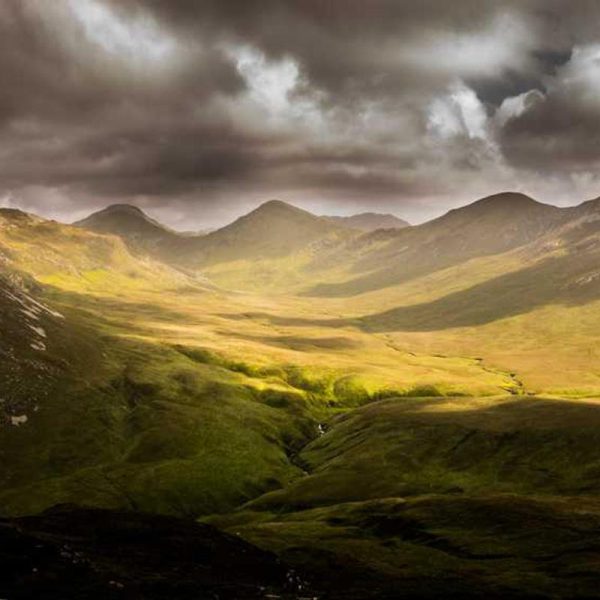 Hard Shell Leather Case Case – Maximum Protection