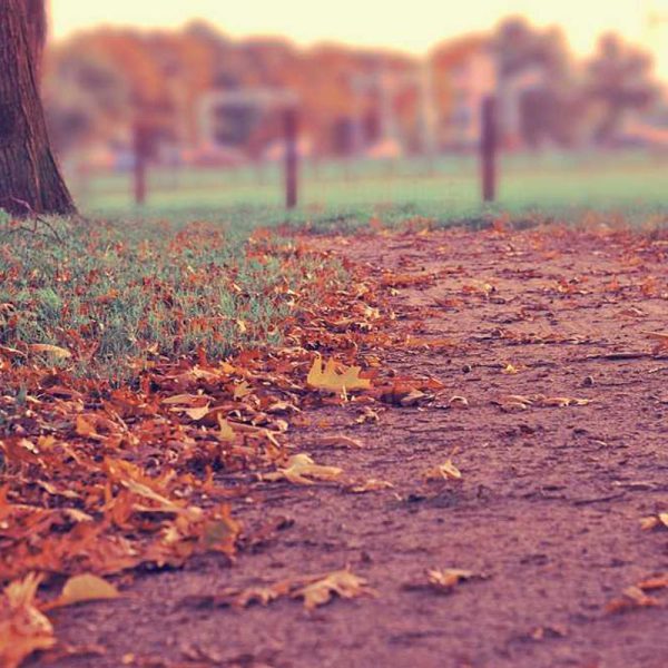 Ultra-Thin Heavy Duty / Rugged Case – Minimalist