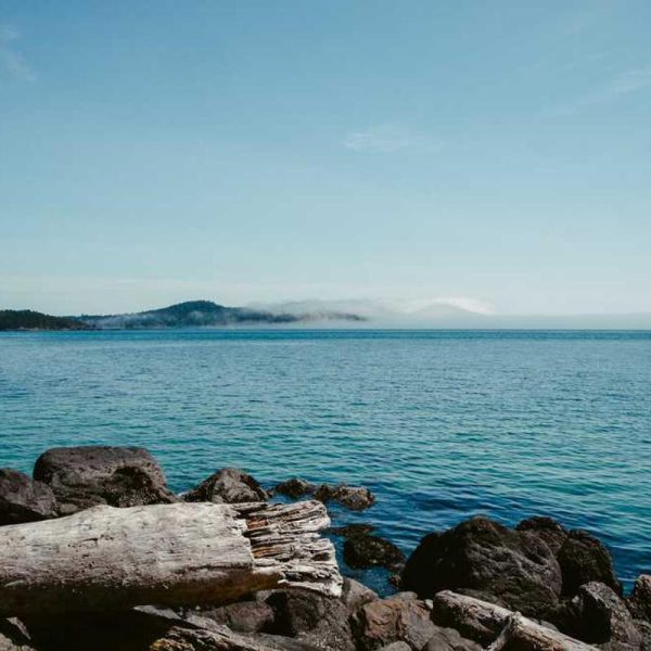 Bumper Heavy Duty / Rugged Case – Edge Protection