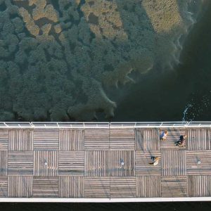 Business Shoulder Bags – Professional Look