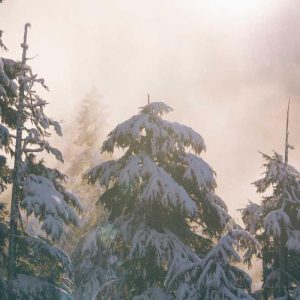 Minimalist Crossbody Bags – Modern Design