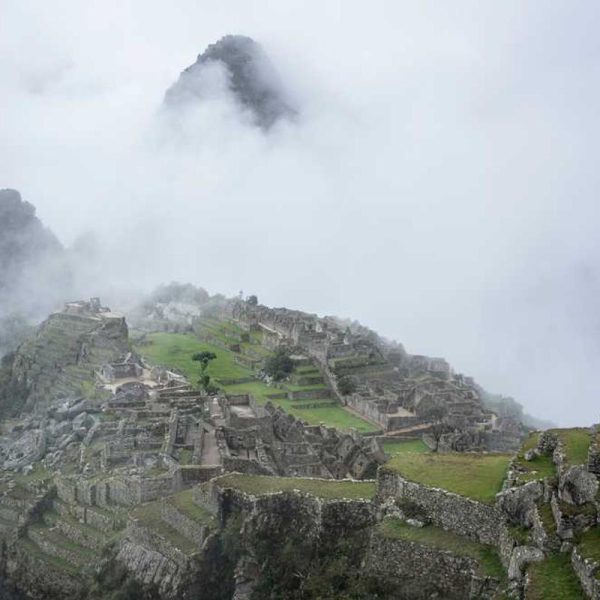 Laptop Crossbody Bags – Padded Compartment