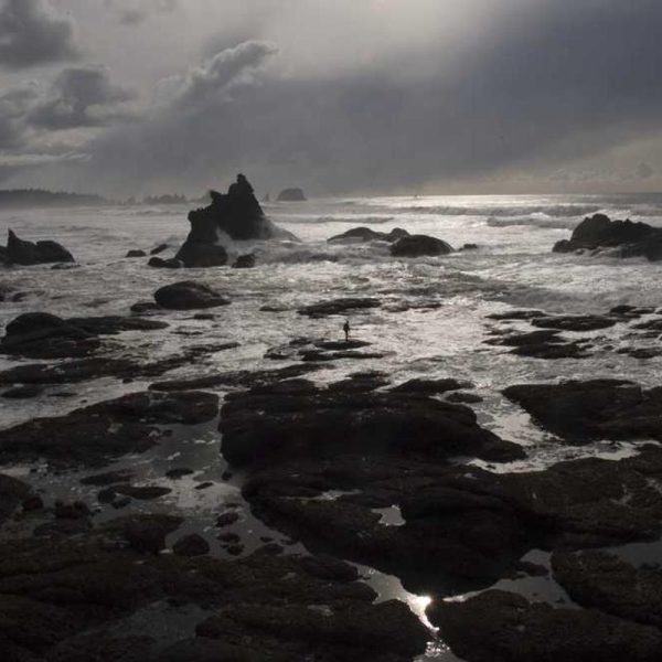 Leather Travel Bags – Classic Elegance