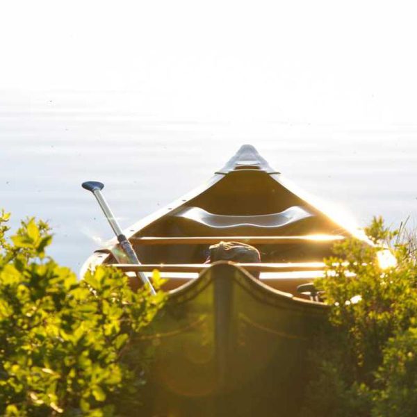 MagSafe iPhone 15 Pro Case – Premium Protection