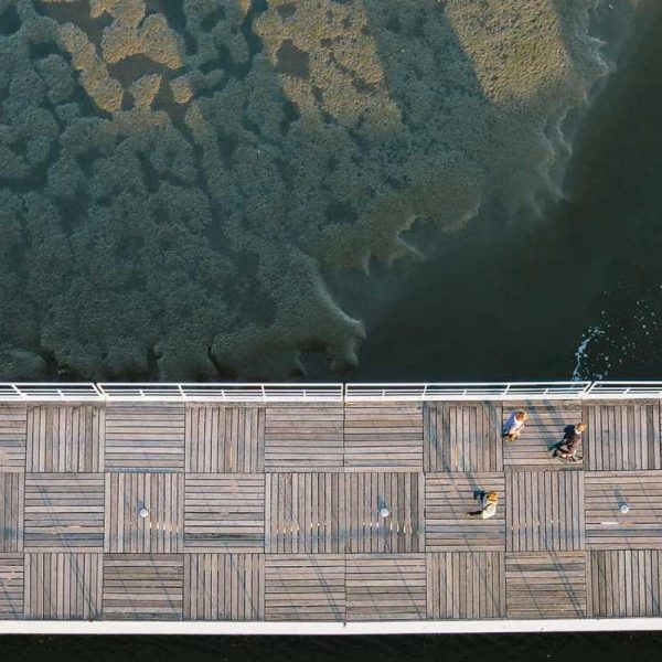 Designer Eco Bags / Tote Bags – Fashion Forward