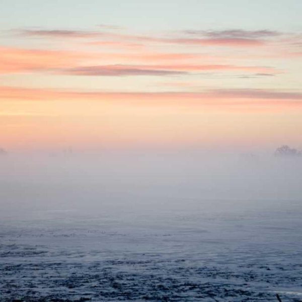 Business Eco Bags / Tote Bags – Professional Look