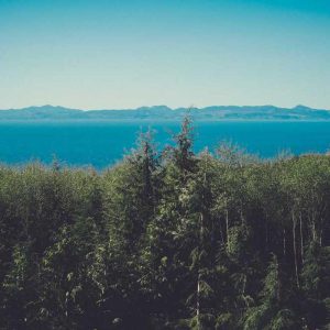 Smart Smartwatches – Intelligent Features