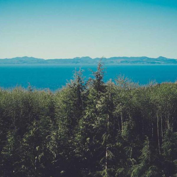 Smart Smartwatches – Intelligent Features