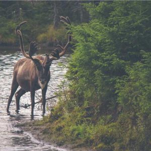 Portable Smartwatches – On The Go