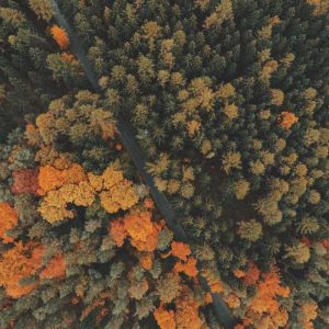 Professional Smartwatches – Pro Grade