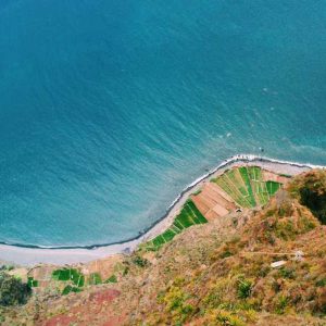 Multi-Function Smartwatches – Versatile