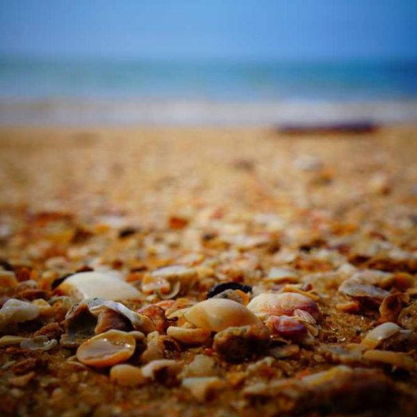 Premium Smartwatches Pro – Enhanced