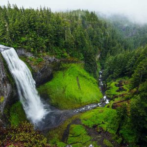 Premium Earphones – Headphones Pro – Enhanced