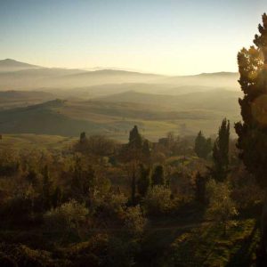 Ultra Earphones – Headphones – Maximum Performance