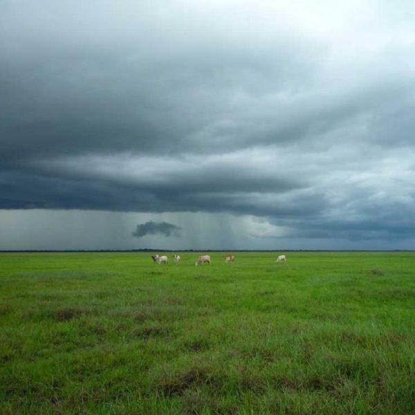 Fast Charging Powerbanks – Quick Power