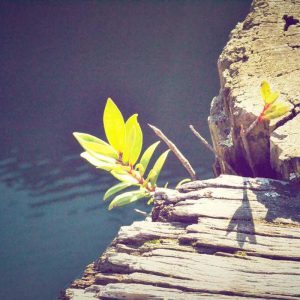 Portable Powerbanks – On The Go