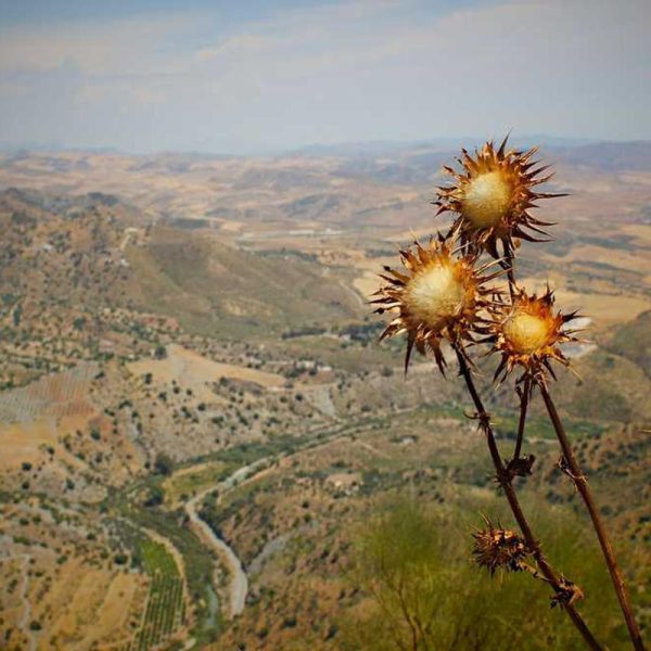 Wireless Wireless Chargers – Advanced Technology