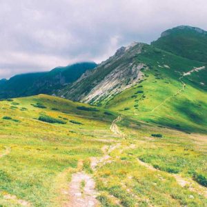 Smart Wireless Chargers – Intelligent Features