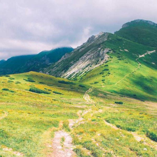 Smart Wireless Chargers – Intelligent Features