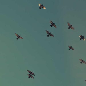 Fast Charging Fast Chargers – Quick Power