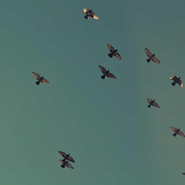 Fast Charging Fast Chargers – Quick Power