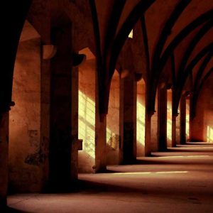 Portable Fast Chargers – On The Go