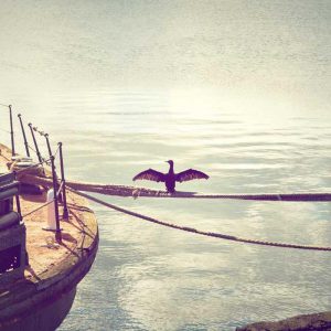 Portable USB-C – On The Go