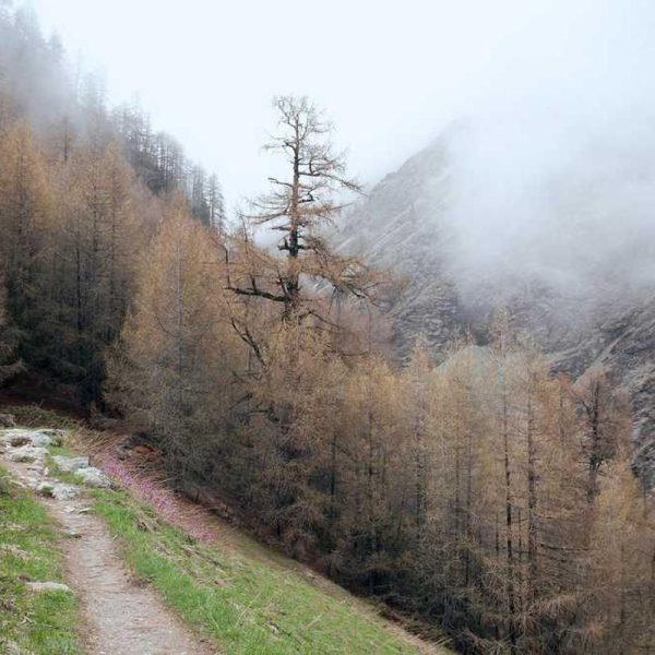 Multi-Function USB-C – Versatile