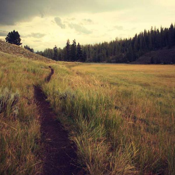 Premium USB-C Pro – Enhanced