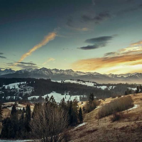 Clear iPhone 14 / 14 Pro Case – Transparent Design