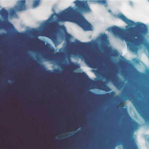 Premium Lightning Pro – Enhanced