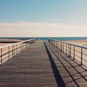 Multi-Function Micro-USB – Versatile