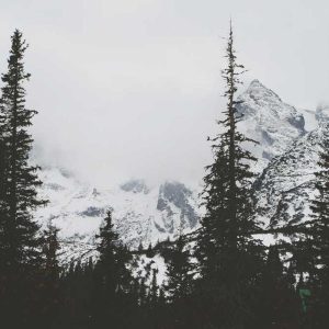 Premium Micro-USB Pro – Enhanced