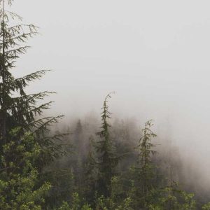 Ultra Micro-USB – Maximum Performance