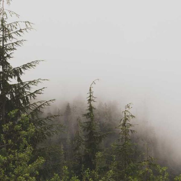 Ultra Micro-USB – Maximum Performance