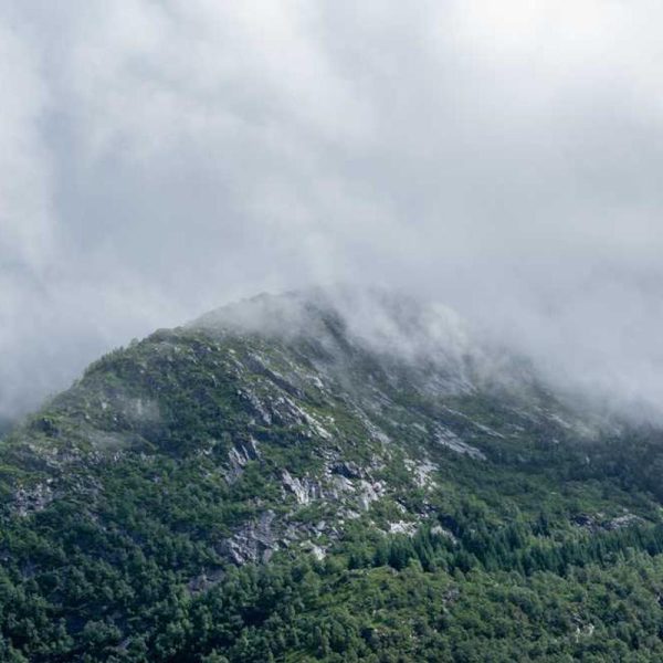 Smart Screen Protectors – Intelligent Features