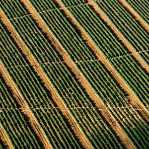 Wireless Car Mounts / Holders – Advanced Technology