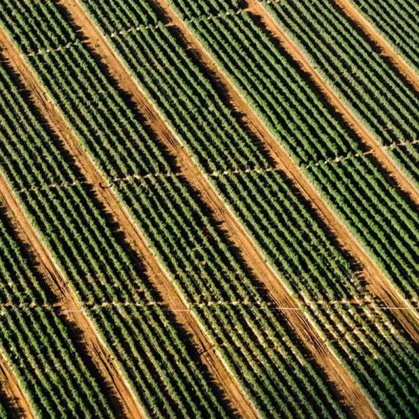 Wireless Car Mounts / Holders – Advanced Technology