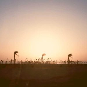 Portable Car Mounts / Holders – On The Go