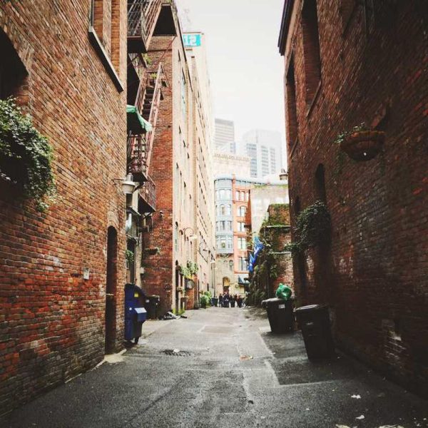 Compact Car Mounts / Holders – Space Saving